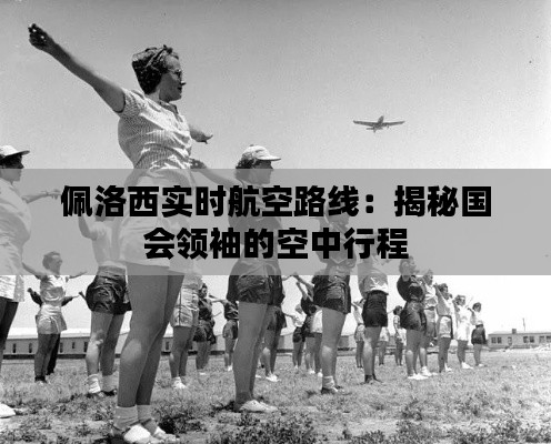 佩洛西實時航空路線：揭秘國會領(lǐng)袖的空中行程