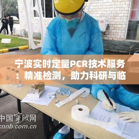 寧波實(shí)時(shí)定量PCR技術(shù)服務(wù)：精準(zhǔn)檢測(cè)，助力科研與臨床