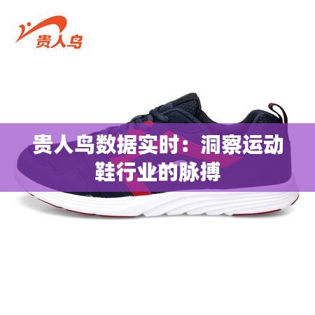 貴人鳥數(shù)據(jù)實(shí)時:洞察運(yùn)動鞋行業(yè)的脈搏