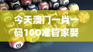 今天澳門一肖一碼10O準(zhǔn)管家娶嗎,數(shù)據(jù)解析計(jì)劃導(dǎo)向_tool5.939