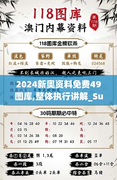 2024新奧資料免費(fèi)49圖庫(kù),整體執(zhí)行講解_Surface5.649