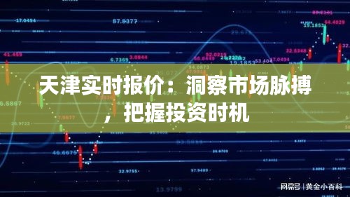 天津實時報價：洞察市場脈搏，把握投資時機