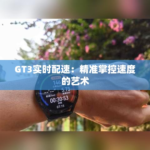 GT3實(shí)時(shí)配速:精準(zhǔn)掌控速度的藝術(shù)