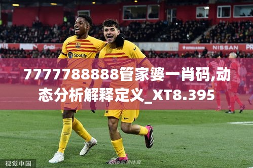 7777788888管家婆一肖碼,動態(tài)分析解釋定義_XT8.395