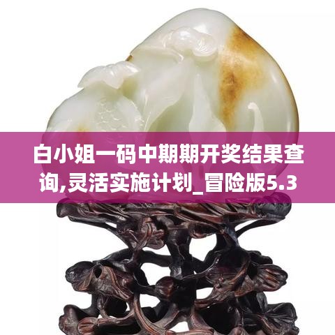 白小姐一碼中期期開獎(jiǎng)結(jié)果查詢,靈活實(shí)施計(jì)劃_冒險(xiǎn)版5.362