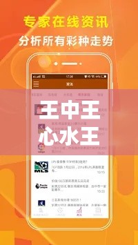 王中王心水王中王免費資料一：揭秘行家里手的珍藏秘籍