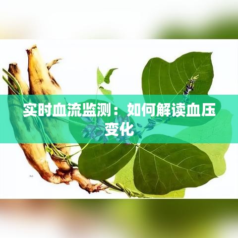 實(shí)時(shí)血流監(jiān)測(cè):如何解讀血壓變化