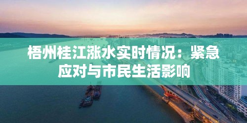 梧州桂江漲水實時情況：緊急應(yīng)對與市民生活影響