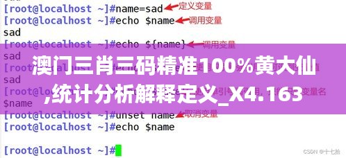 澳門三肖三碼精準(zhǔn)100%黃大仙,統(tǒng)計(jì)分析解釋定義_X4.163