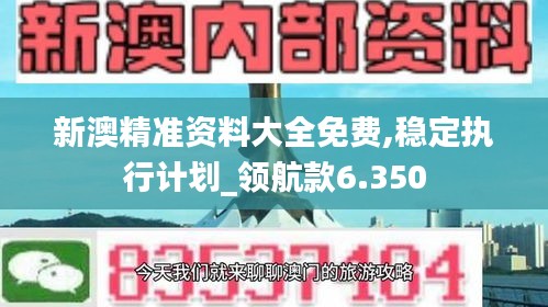 新澳精準(zhǔn)資料大全免費(fèi),穩(wěn)定執(zhí)行計(jì)劃_領(lǐng)航款6.350