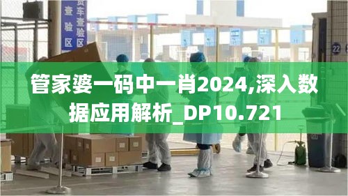 管家婆一碼中一肖2024,深入數(shù)據(jù)應用解析_DP10.721