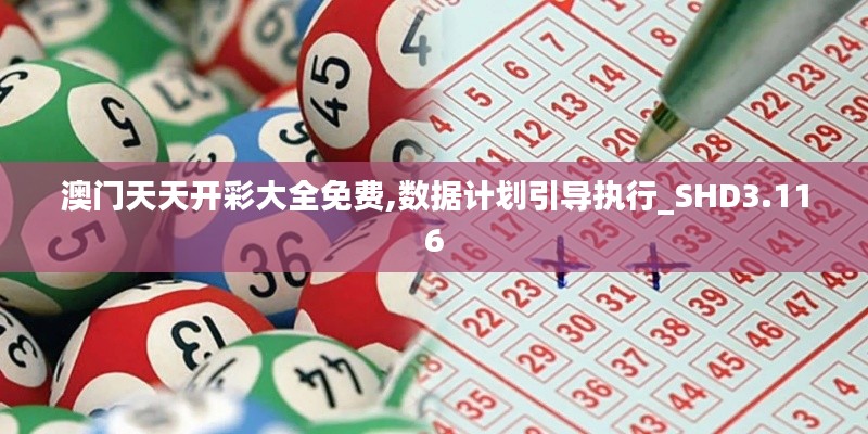 澳門天天開彩大全免費(fèi),數(shù)據(jù)計(jì)劃引導(dǎo)執(zhí)行_SHD3.116
