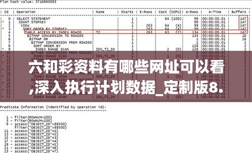 六和彩資料有哪些網(wǎng)址可以看,深入執(zhí)行計劃數(shù)據(jù)_定制版8.613