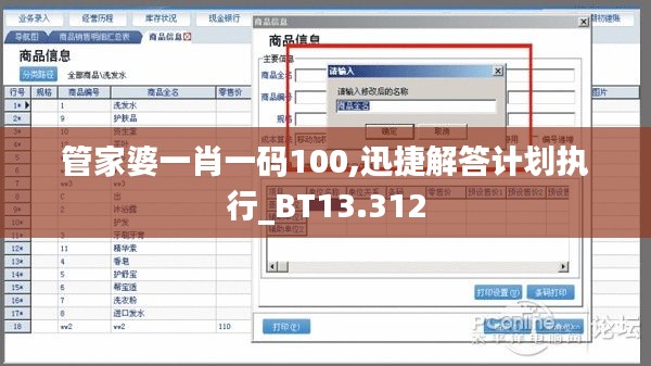 管家婆一肖一碼100,迅捷解答計劃執(zhí)行_BT13.312