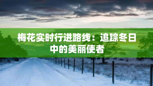 梅花實時行進路線：追蹤冬日中的美麗使者