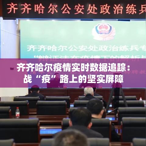 齊齊哈爾疫情實(shí)時(shí)數(shù)據(jù)追蹤：戰(zhàn)“疫”路上的堅(jiān)實(shí)屏障