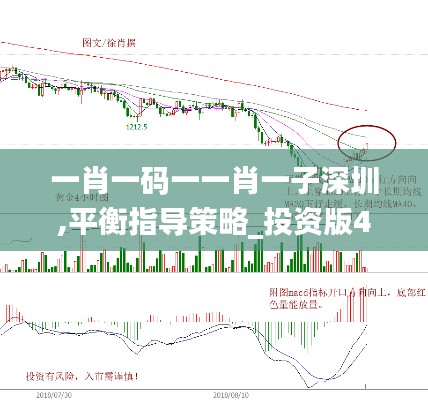 一肖一碼一一肖一子深圳,平衡指導(dǎo)策略_投資版4.752