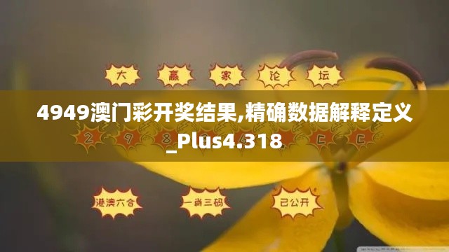 4949澳門彩開獎結(jié)果,精確數(shù)據(jù)解釋定義_Plus4.318