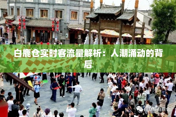 白鹿倉(cāng)實(shí)時(shí)客流量解析:人潮涌動(dòng)的背后