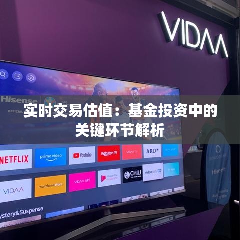 實(shí)時(shí)交易估值：基金投資中的關(guān)鍵環(huán)節(jié)解析