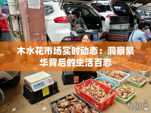 木水花市場實時動態(tài)：洞察繁華背后的生活百態(tài)