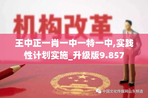 王中正一肖一中一特一中,實(shí)踐性計劃實(shí)施_升級版9.857