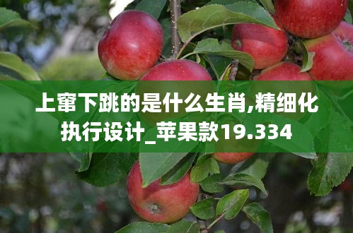 上竄下跳的是什么生肖,精細(xì)化執(zhí)行設(shè)計(jì)_蘋果款19.334
