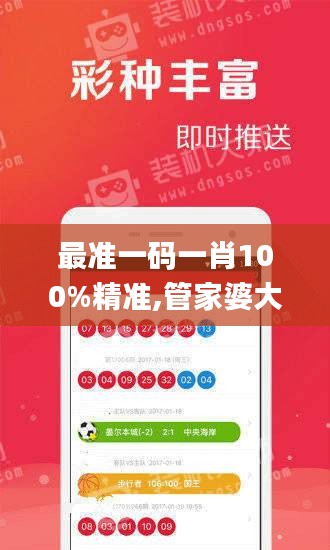 最準(zhǔn)一碼一肖100%精準(zhǔn),管家婆大小中特,專業(yè)調(diào)查解析說明_策略版3.163