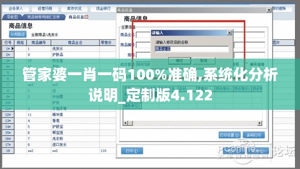 管家婆一肖一碼100%準(zhǔn)確,系統(tǒng)化分析說明_定制版4.122