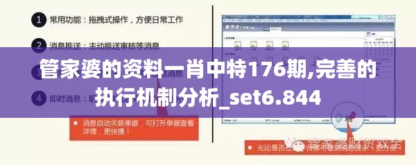 管家婆的資料一肖中特176期,完善的執(zhí)行機制分析_set6.844
