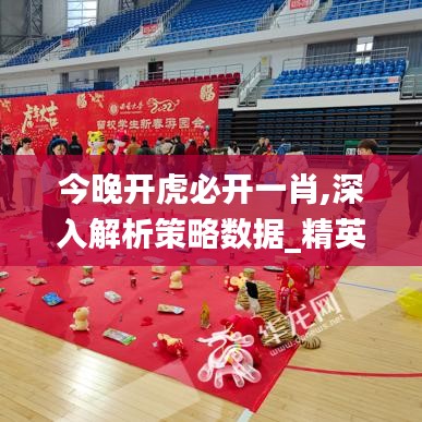 今晚開虎必開一肖,深入解析策略數(shù)據(jù)_精英款1.540
