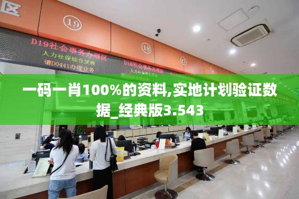 一碼一肖100%的資料,實(shí)地計(jì)劃驗(yàn)證數(shù)據(jù)_經(jīng)典版3.543