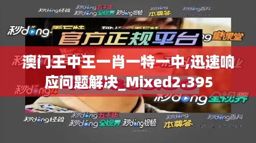 澳門王中王一肖一特一中,迅速響應(yīng)問題解決_Mixed2.395