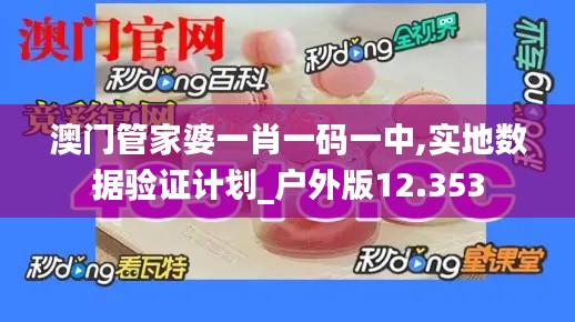 澳門管家婆一肖一碼一中,實地數(shù)據(jù)驗證計劃_戶外版12.353