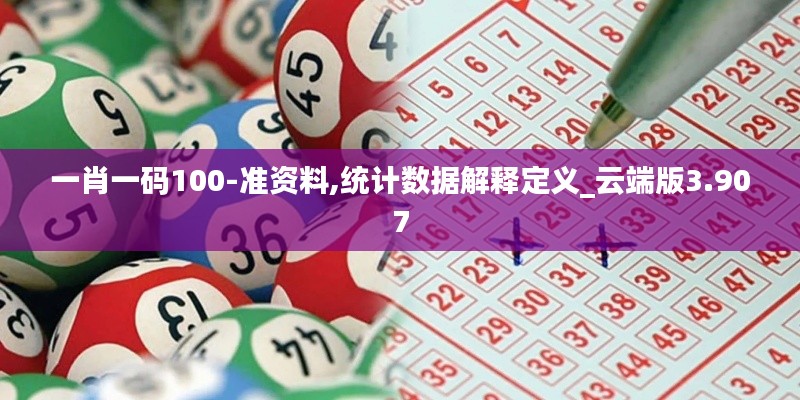 一肖一碼100-準資料,統計數據解釋定義_云端版3.907