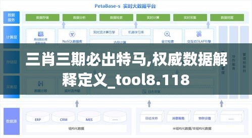 三肖三期必出特馬,權(quán)威數(shù)據(jù)解釋定義_tool8.118