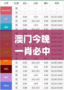 澳門今晚一肖必中特,收益說明解析_4DM2.217