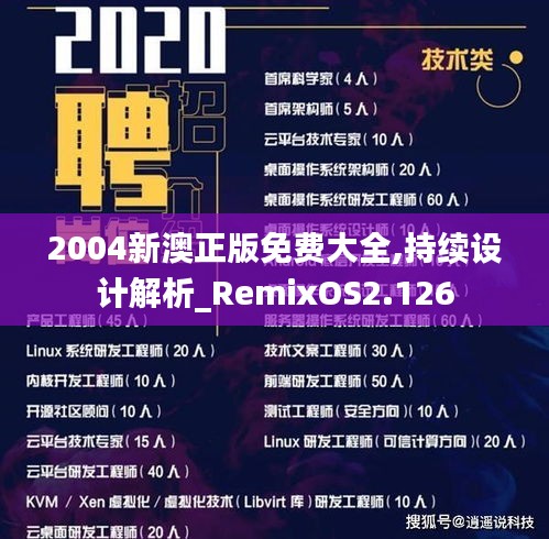 2004新澳正版免費大全,持續(xù)設(shè)計解析_RemixOS2.126