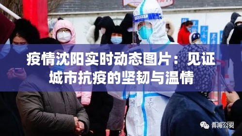 疫情沈陽實(shí)時動態(tài)圖片：見證城市抗疫的堅(jiān)韌與溫情