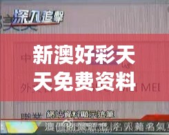 新澳好彩天天免費資料：揭示澳門博彩業(yè)的成功秘訣