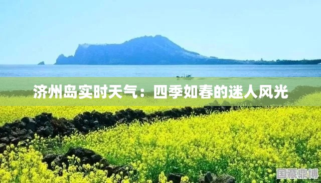 濟(jì)州島實(shí)時(shí)天氣：四季如春的迷人風(fēng)光