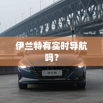 伊蘭特有實(shí)時導(dǎo)航嗎？