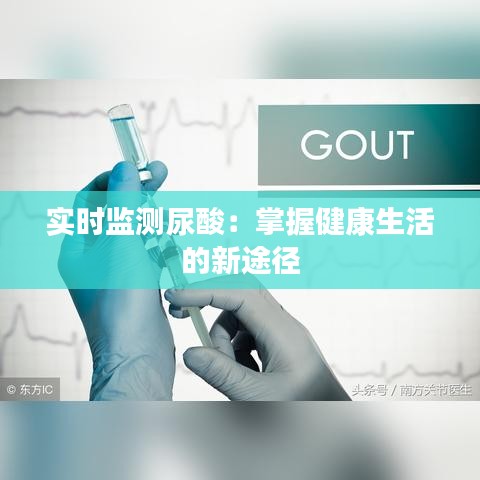 實(shí)時(shí)監(jiān)測(cè)尿酸：掌握健康生活的新途徑