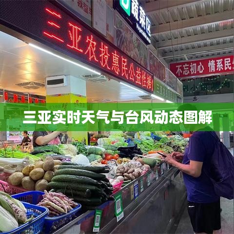 三亞實(shí)時(shí)天氣與臺(tái)風(fēng)動(dòng)態(tài)圖解