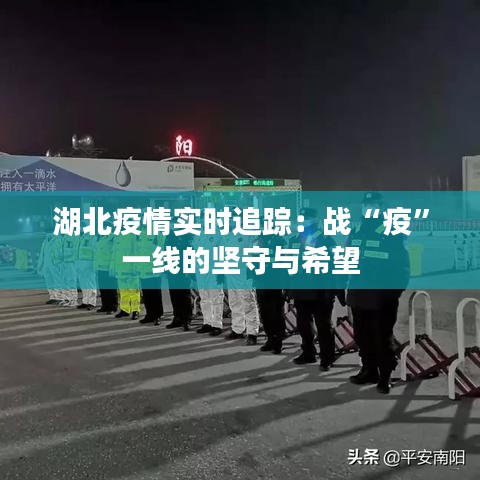 笨鳥(niǎo)先飛 第4頁(yè)