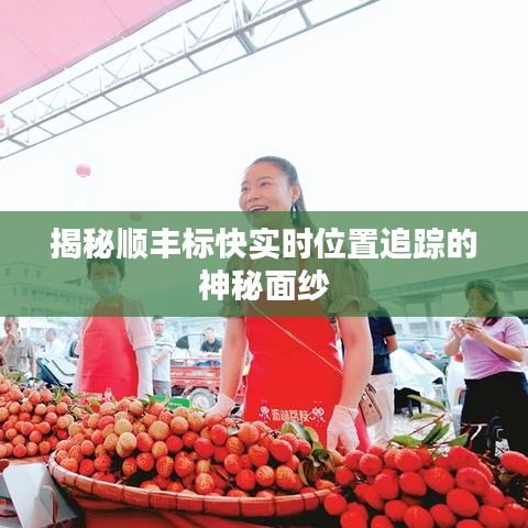 揭秘順豐標(biāo)快實(shí)時(shí)位置追蹤的神秘面紗