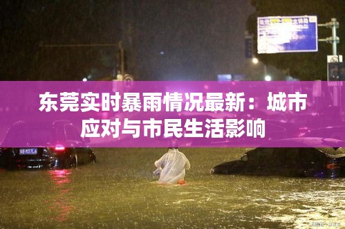 東莞實時暴雨情況最新:城市應(yīng)對與市民生活影響