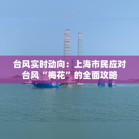 臺風實時動向：上海市民應對臺風“梅花”的全面攻略