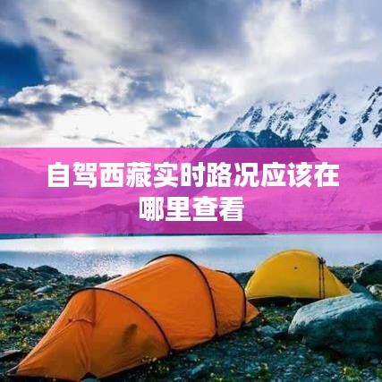 自駕西藏實時路況應(yīng)該在哪里查看