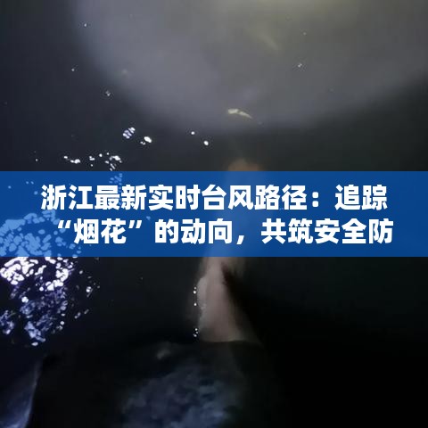 浙江最新實時臺風路徑：追蹤“煙花”的動向，共筑安全防線